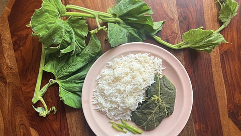 Bottle gourd leaves are used to steam food as they are large and can be easily made into a parcel 