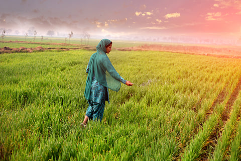 Rupee slide against dollar may compound India’s fertiliser troubles