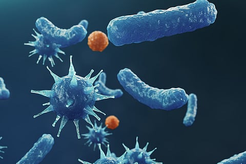 Microbes can colonise space, produce drugs and create energy — researchers are simulating their inner workings to harness how