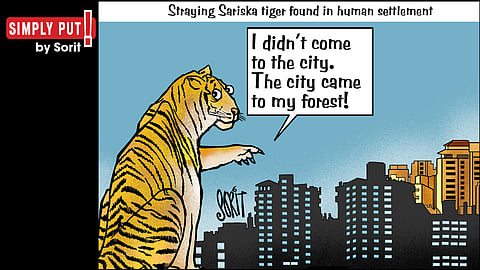 Simply Put: Tiger in the city
