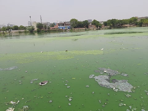 Critical health crisis of urban & peri-urban waterbodies calls for immediate action