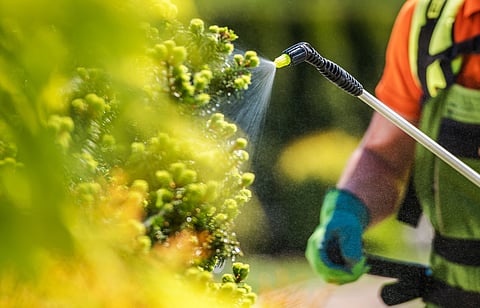 High fertiliser use killing bees and pollinators: Two-year long research finds 