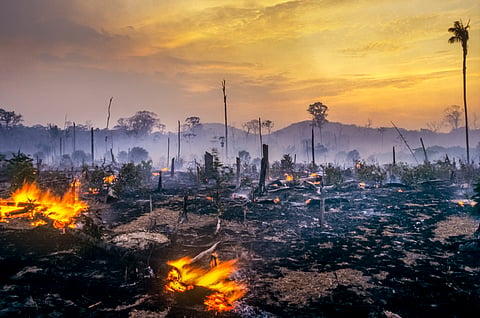 Almost a quarter (23 per cent) of Brazil’s territory — an estimated 199.1 million hectares — has burned at least once between 1985 and 2023