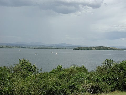 New study links Lake Victoria’s algal blooms to climate risks for US great lakes
