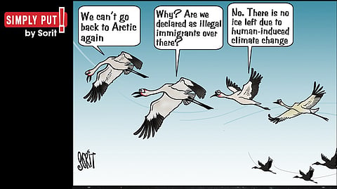 Simply Put: Immigrant’s tale