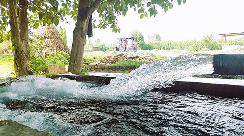 Groundwater pumped for paddy farms in Saharanpur, a western UP district overexploiting its reserves