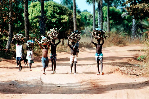 600 million Africans don’t have electricity — the green energy transition must start with them