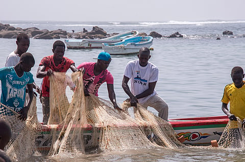 By 2050, Africa’s aquatic food supply must grow by 74% to maintain current per capita fish consumption levels: Report 
