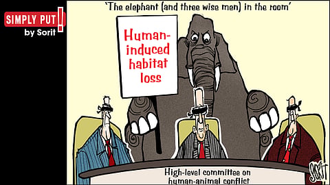 Simply Put: Elephant in the room