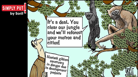 Simply Put: Hoolocks in danger