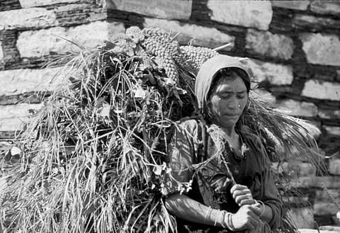 Women play a vital role in both domestic and agricultural work, managing households and assisting with farm duties.

