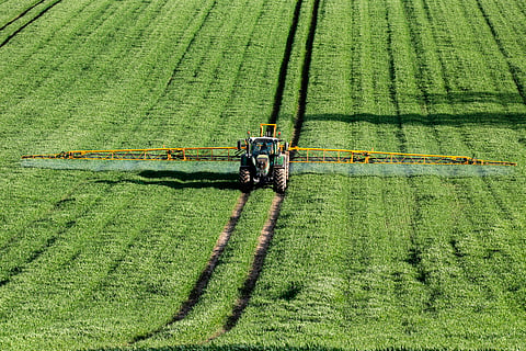 Pesticides likely affect 800 non-target species by disrupting growth, behaviour: Study