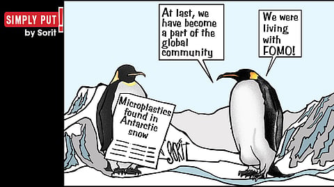 Simply Put: Microplastics in Antarctica