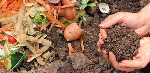 Gobar Times: Composting 101
