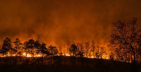 Forest fires are yet another symptom of climate change, their mitigation cannot bypass efforts to reduce carbon emissions 
