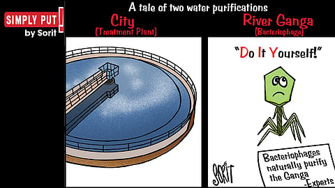 Simply Put: Unequal treatment