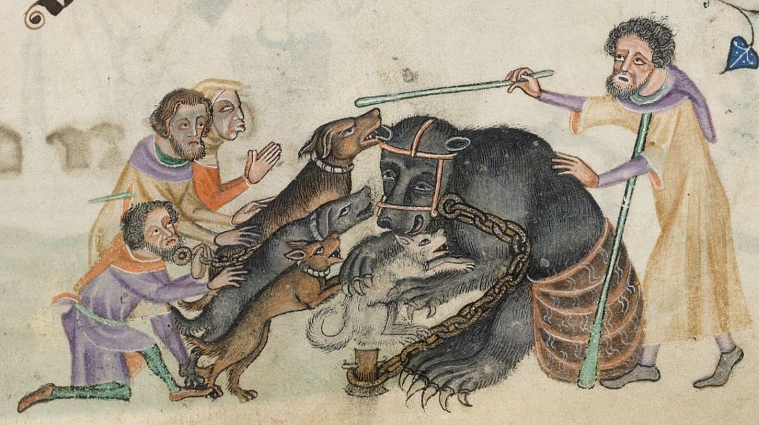 New Study Reveals Bear Baiting as a Popu...