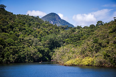 CBD COP16 secures landmark biodiversity funding agreement