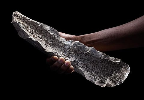 The research shows that 1.5 million years ago, animals were no longer merely threats, rivals, or sources of food, but also provided raw materials for tool production. Seen here, one of the bone tools found by the scientists