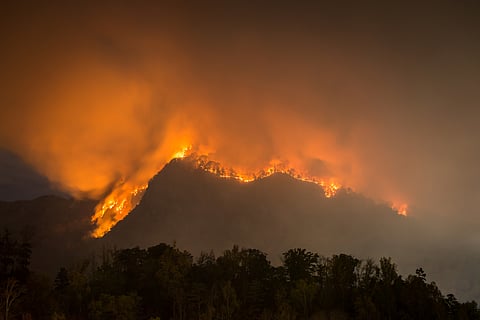 Carolina wildfires followed months of weather whiplash, from drought to hurricane-fueled floods and back to drought