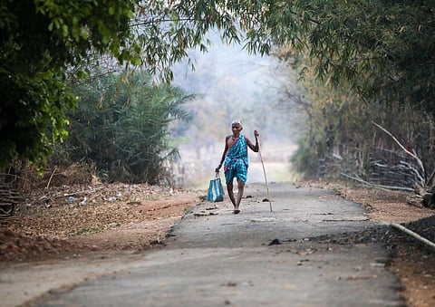 Forest rights under siege: Petitioners challenge misrepresentation of FRA ahead of Supreme Court hearing