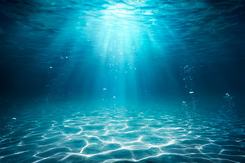 How dramatic daily swings in oxygen shaped early animal life — new study