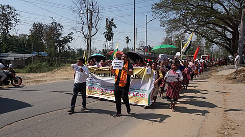 Is ADB-funded Assam solar park ‘green grabbing’ indigenous land?