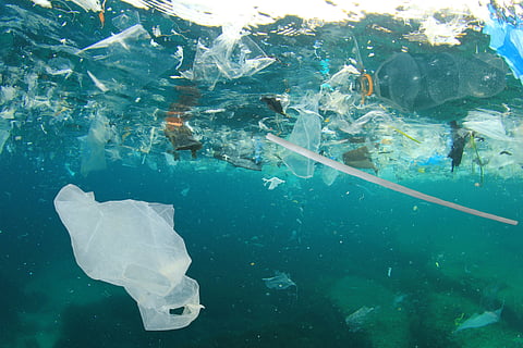 UNHRC adopts resolution linking plastic pollution, ocean protection and human right to a healthy environment