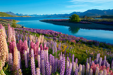 The latest update on NZ’s state of the environment is sobering — but there are glimmers of progress