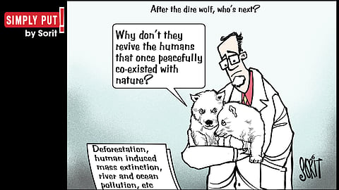 Simply Put: On de-extinction
