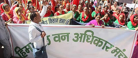 On Himachal Day, environmentalists question government’s neglect towards forest-dependent communities 
