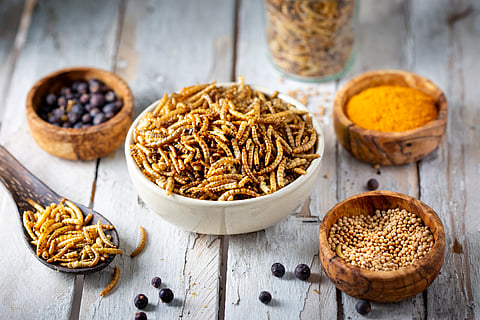 Africa’s superfood heroes — from teff to insects — deserve more attention
