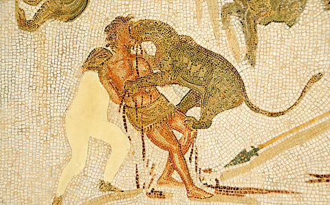 Researchers find first physical evidence of gladiator-animal combat in Roman times