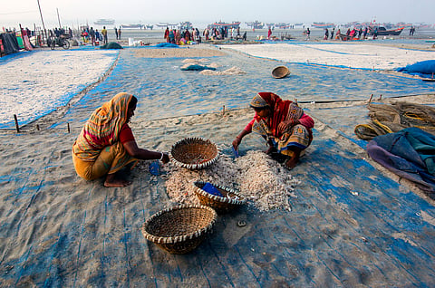 Coastal States Fisheries Meet 2025: 5th fisheries census launched, aqua insurance unveiled