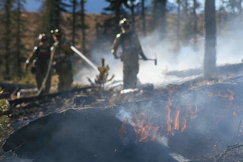 Climate impact: Disaster-linked insured losses to rise 6% in 2025, touch $145 billion