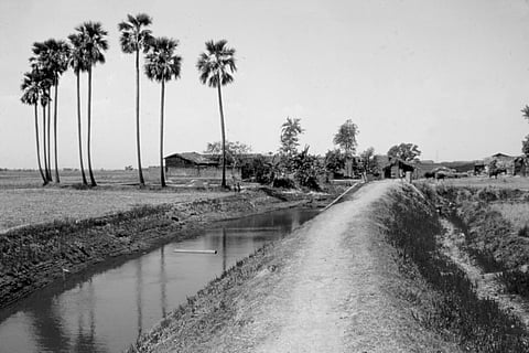 Ahar-Pyne have been the veins of Bihar for more than 2,000 years 