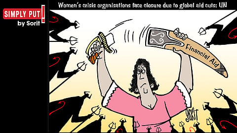 Simply Put: Women's crisis organisations