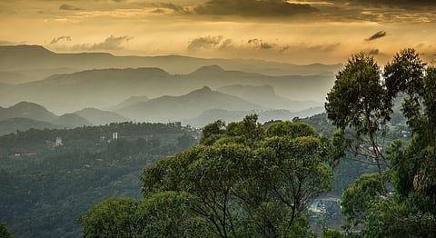 Telangana’s green cover is constantly declining — its forest department needs to wake up from slumber before it’s too late

