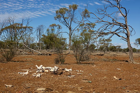Why is southern Australia in drought – and when will it end?
