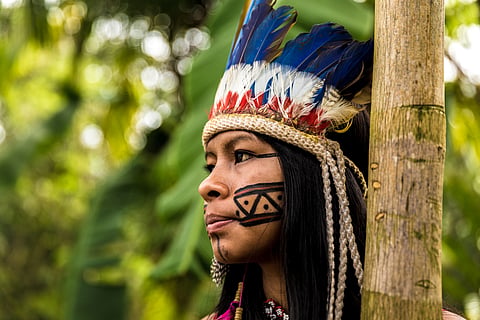 Funds for biodiversity not reaching indigenous people, women who protect nature: Report