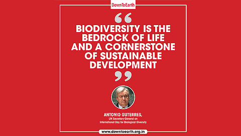 The importance of biodiversity