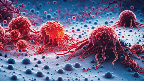 CAR-T cell therapy is revolutionising cancer treatment — here’s how it works
