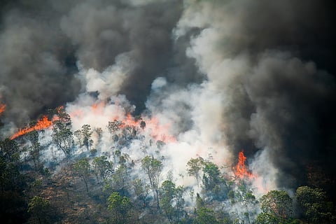 Frequent wildfires under warming climate turning forests into super carbon emitters