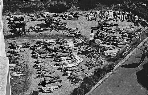 Bodies of victims in the aftermath of the Bhopal Gas Tragedy