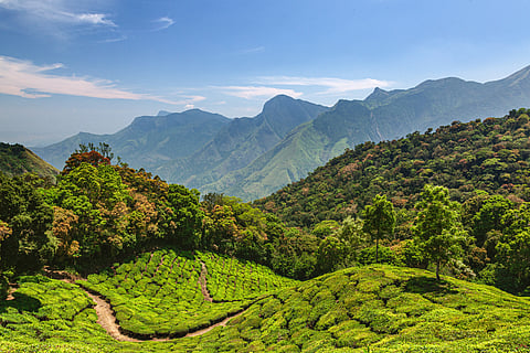 The  twin-tunnel road project passes through ecologically fragile terrain in the Western Ghats, prone to landslides and floods.