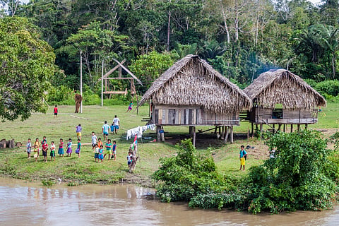 Drug trafficking threatening Indigenous peoples, Amazonian ecosystems in Peru, warns report