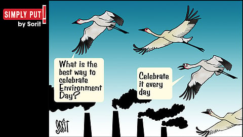 Simply Put: Celebrating Environment Day