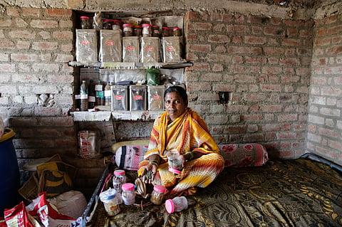 Seed saviours: Madhya Pradesh’s movement for community led seed saving