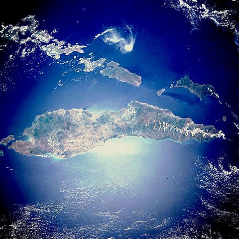 World Crocodile Day 2025: How a saurian became the island of Timor