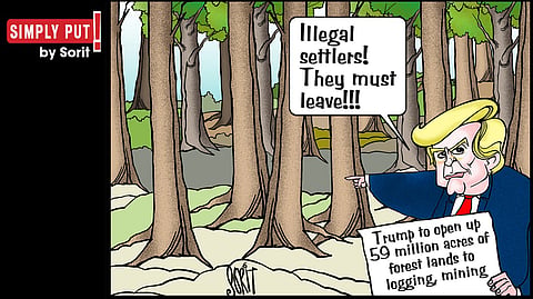 Simply Put: Trump and the trees